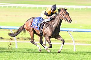 MARKET MISSES CONTINUAL WINNER